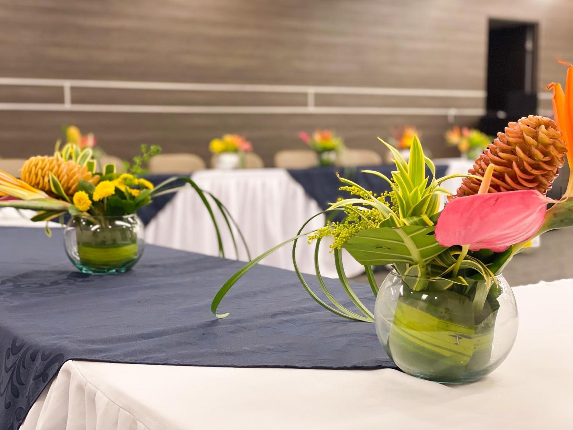 Hotel Punta Arena Spa Boutique Араука Экстерьер фото